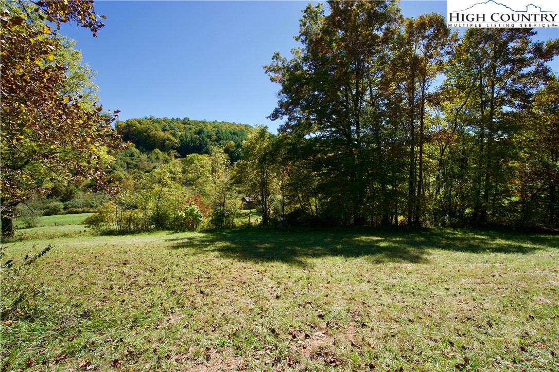 192 Tom Fowler Road Crumpler, NC 28617 - Photo 3 of 34 Gallery Image 3