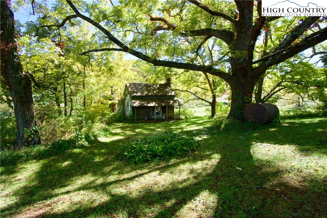 192 Tom Fowler Road Crumpler, NC 28617 - Photo 6 of 34 Gallery Image 6