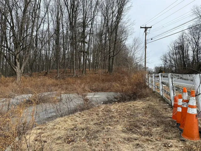 a view of a yard with a tree
