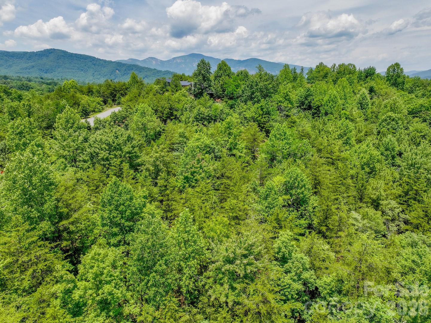 121 Jobes Trail, Unit 35 Mill Spring, NC 28756 - Photo 18 of 20