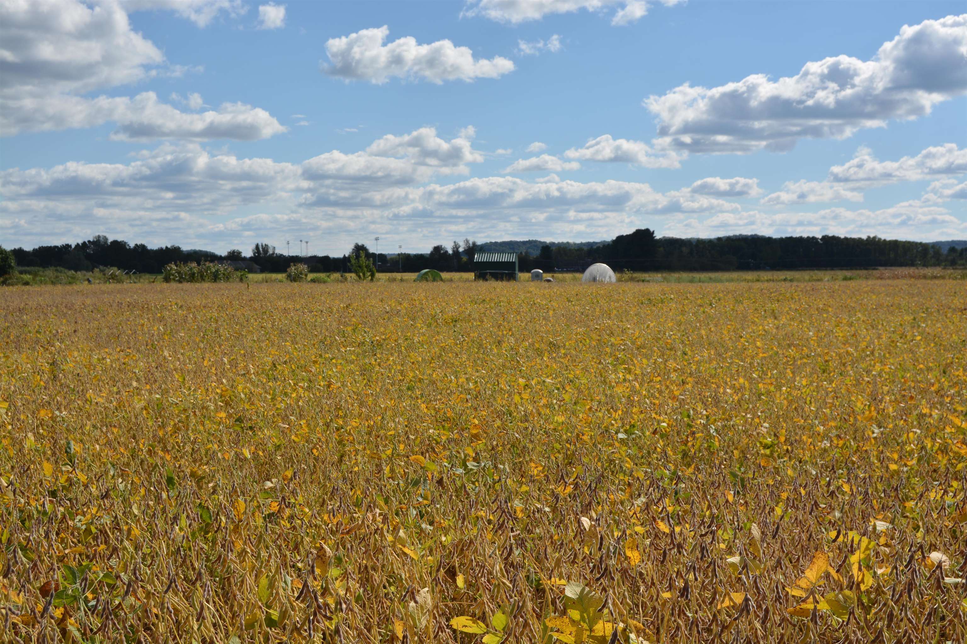 Lot 14 Sommerset Spring Green Spring Green, WI 53588 - Photo 4 of 17