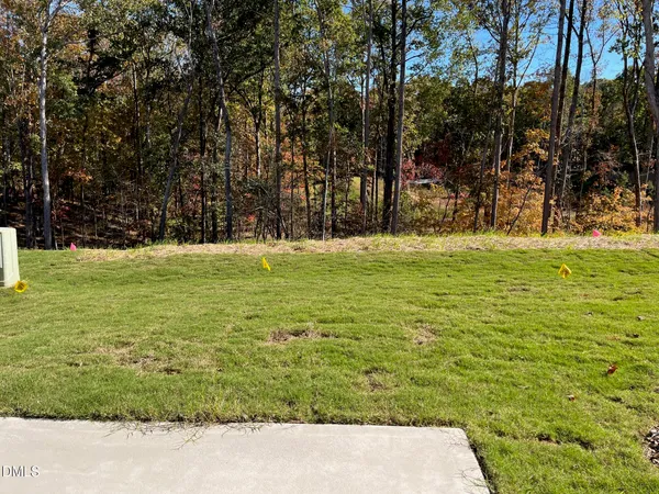 a view of a field with trees in the background