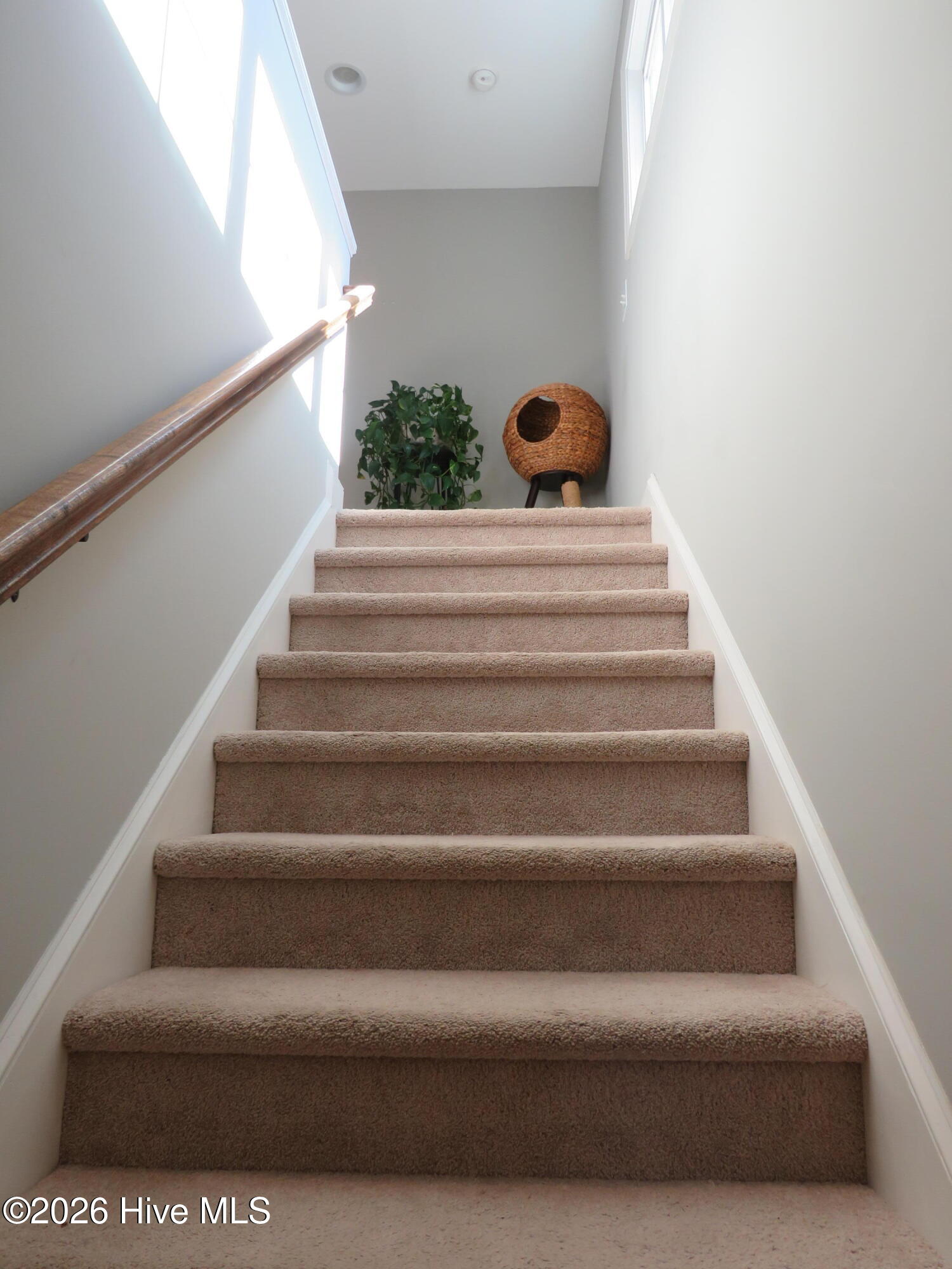 510 Sheldon Road Southern Pines, NC 28387 - Photo 19 of 40 IMG_5625