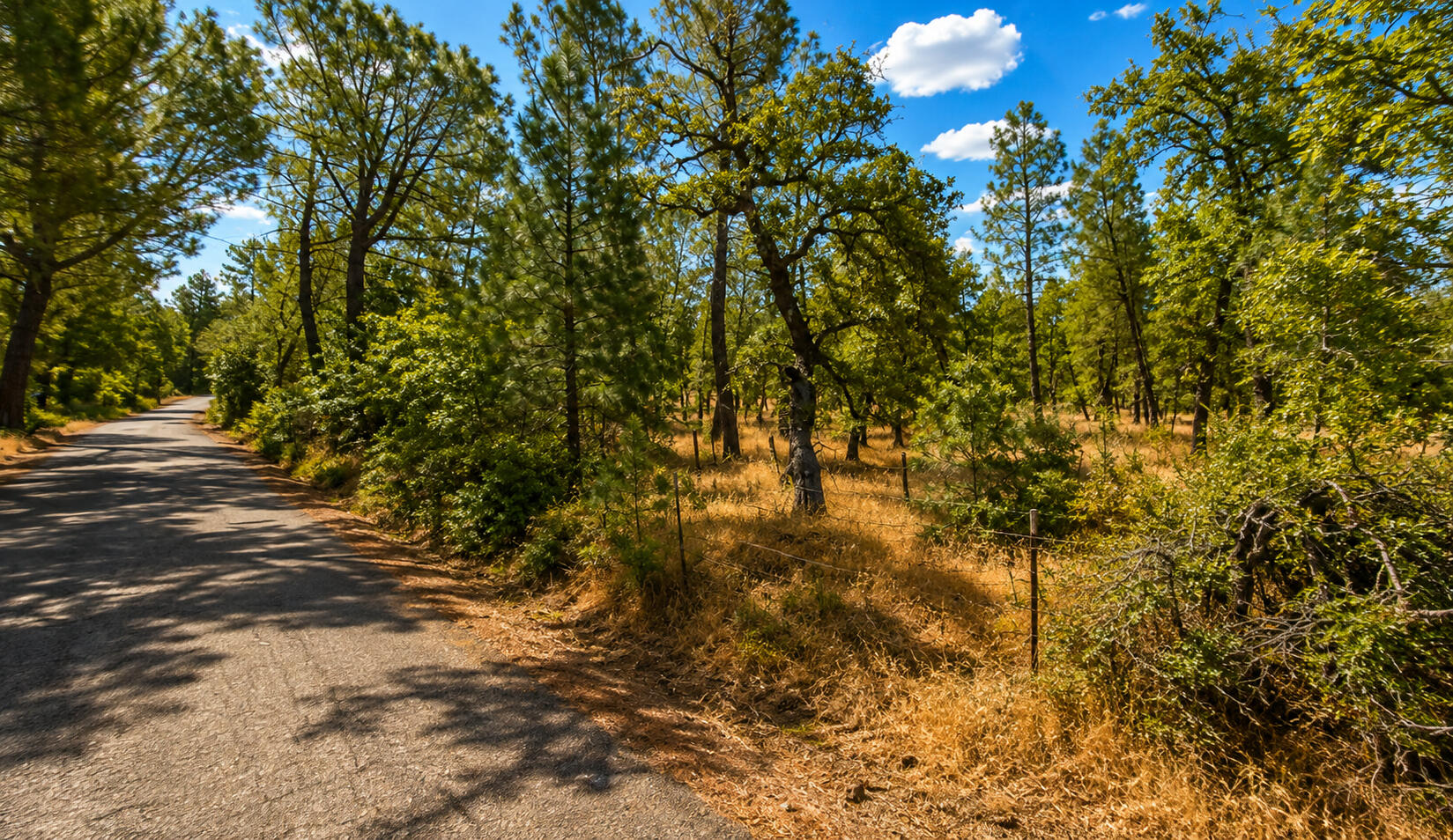 29391 Inwood Road Shingletown, CA 96088 - Photo 9 of 15 9