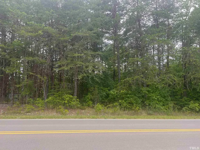 a view of a yard from a window