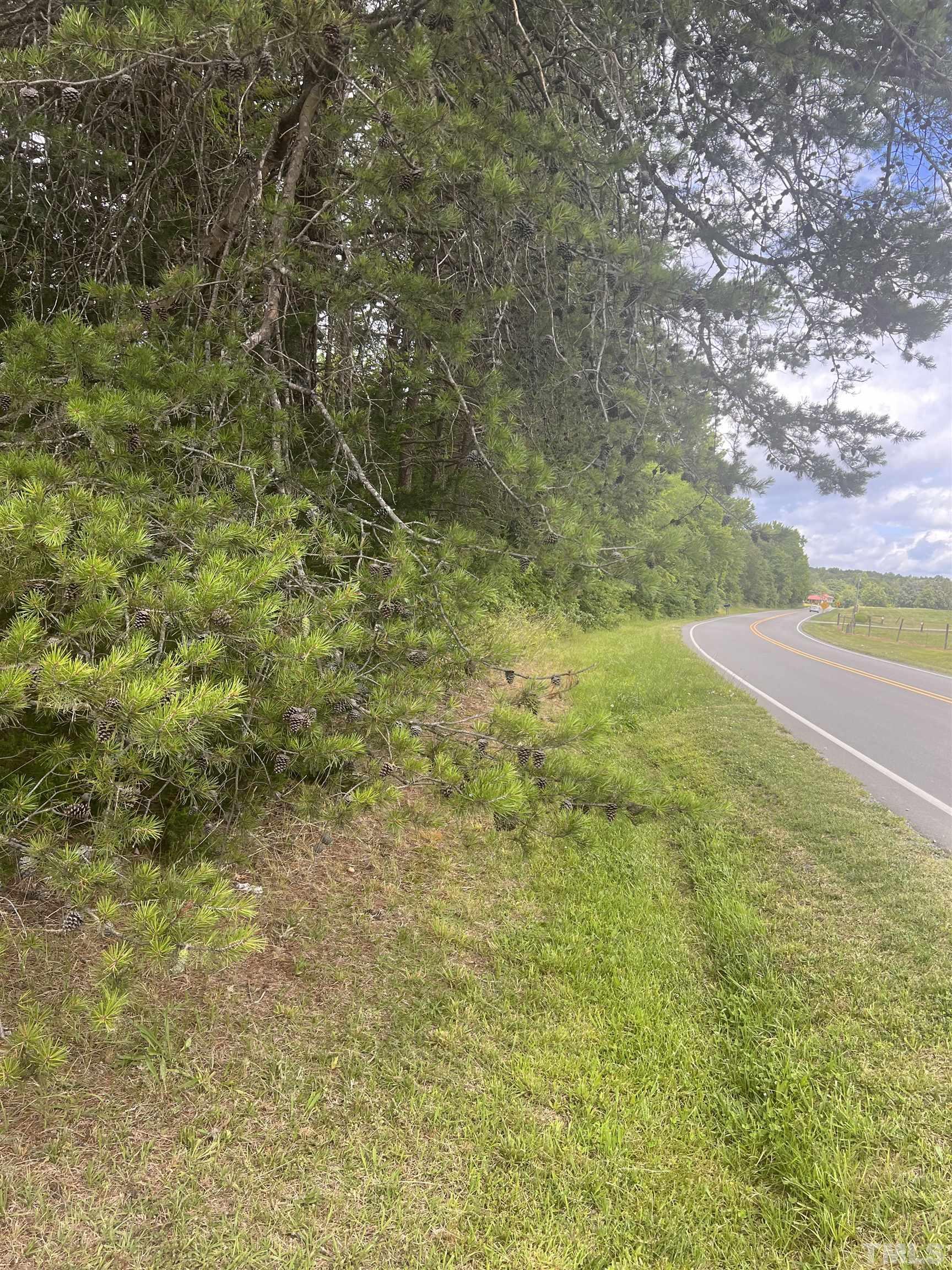 Mcghees Mill Road Semora, NC 27343 - Photo 4 of 6 a view of a yard with an trees