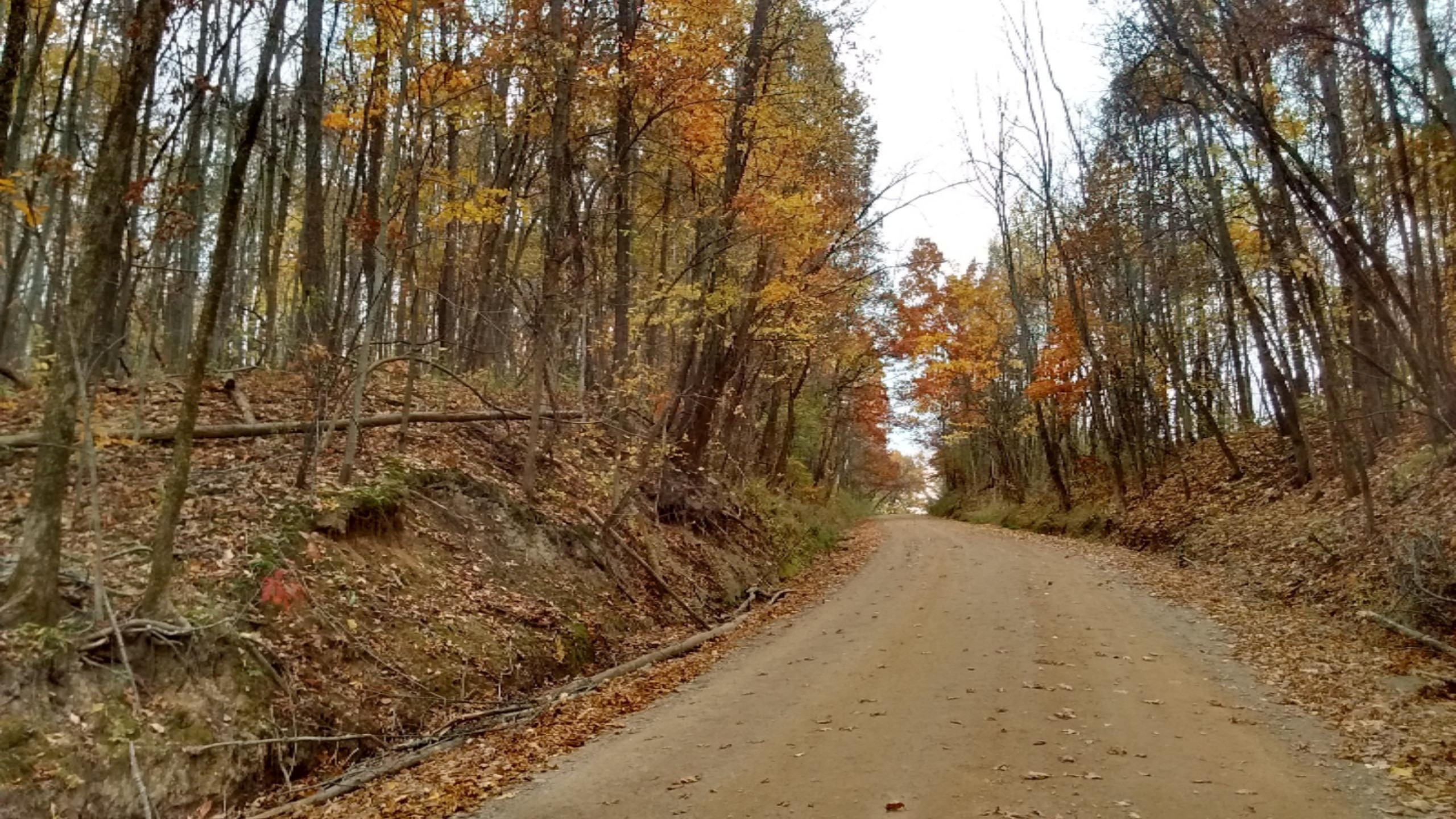 5600 Keller Road Delton, MI 49046 - Photo 1 of 4 IMG_20151027_161740381_HDR