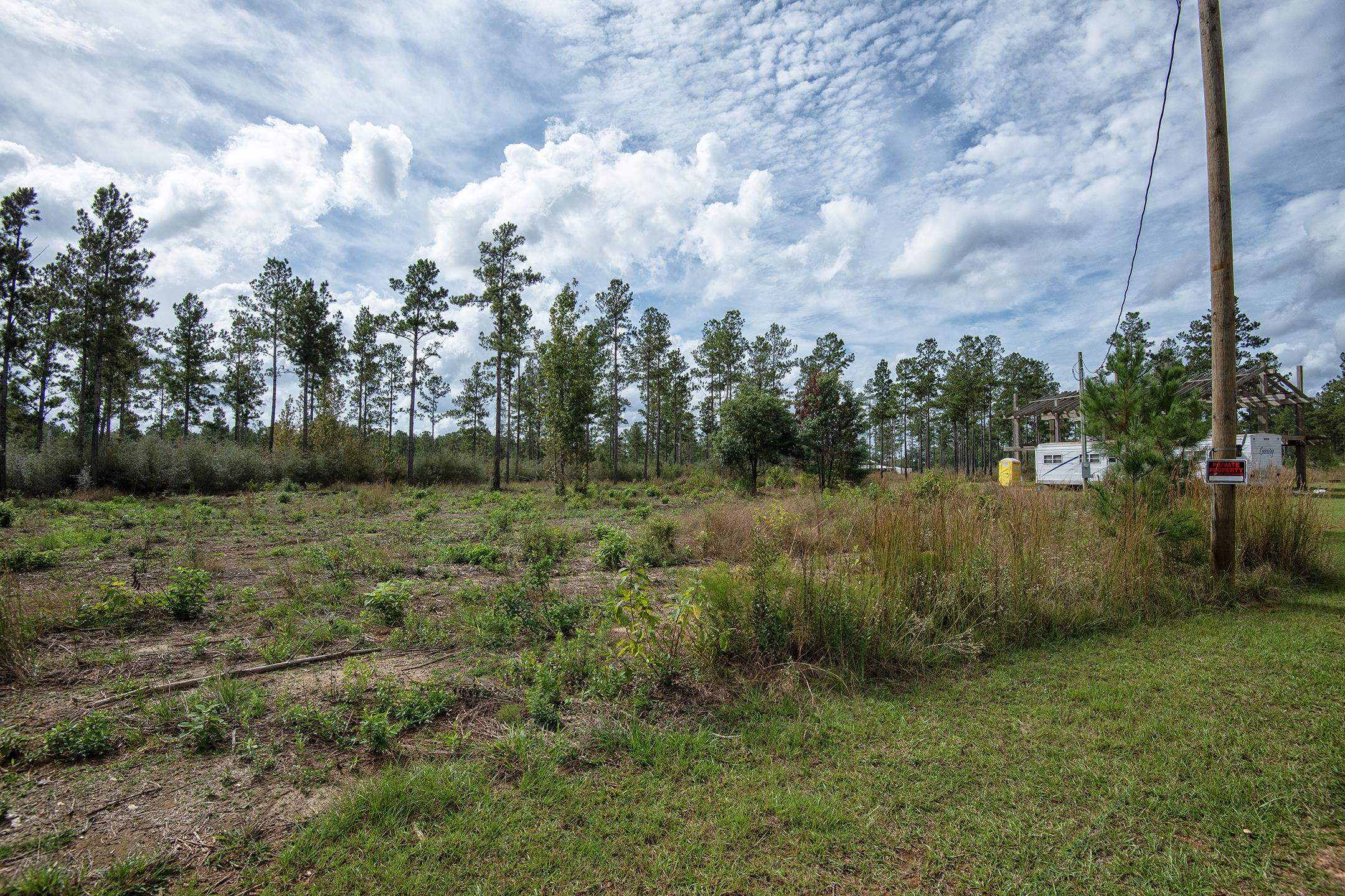 30141 Seed Orch Road Robertsdale, AL 36567 - Photo 7 of 11 Yard