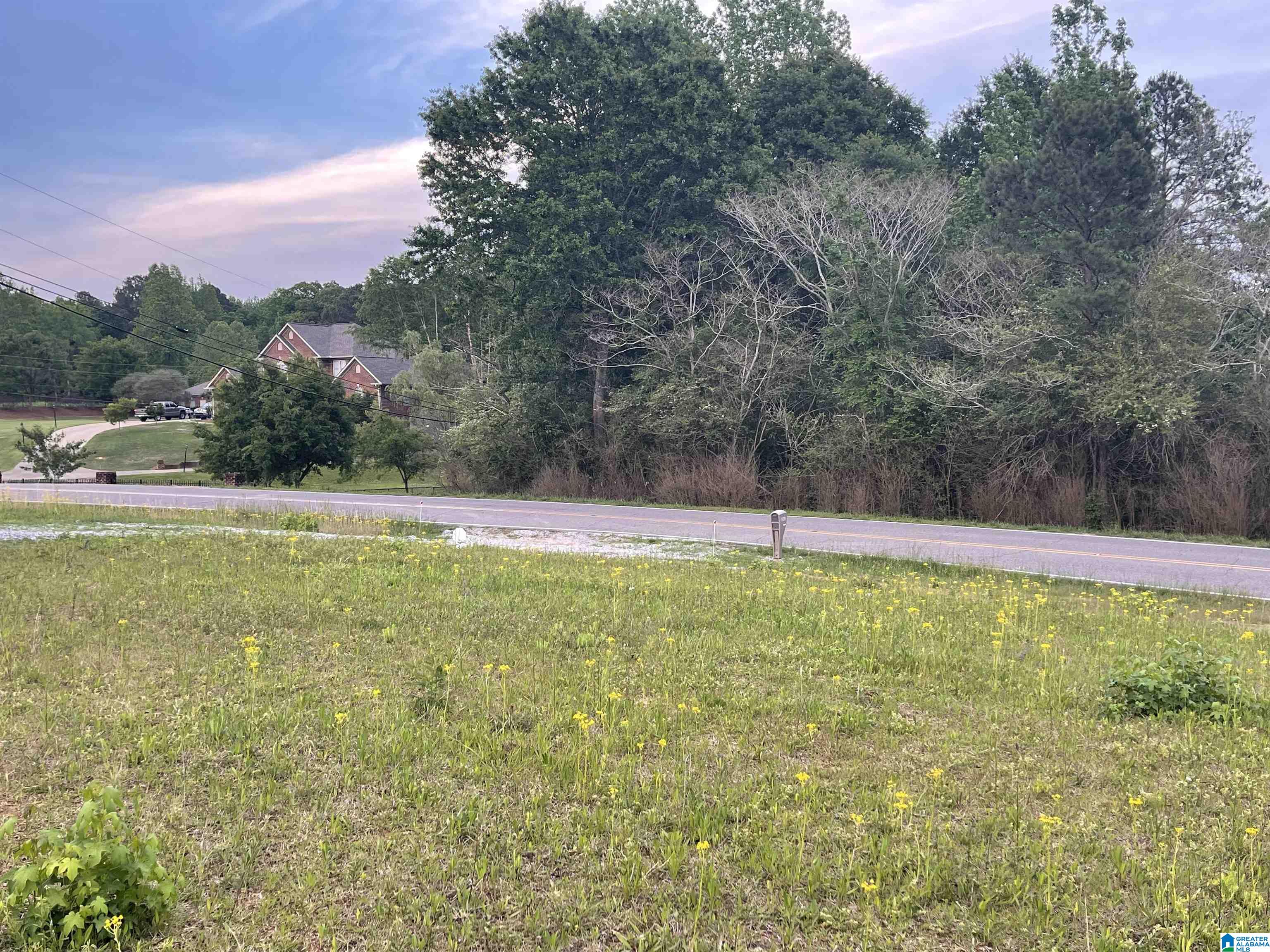 2021 Brookside Road, Unit 3 Mount Olive, AL 35117 - Photo 15 of 16