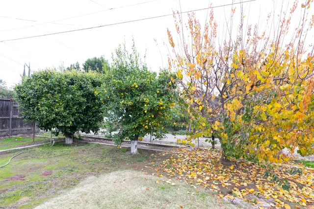 $294,000 | 1044 South Hope Avenue, Reedley, CA 93654