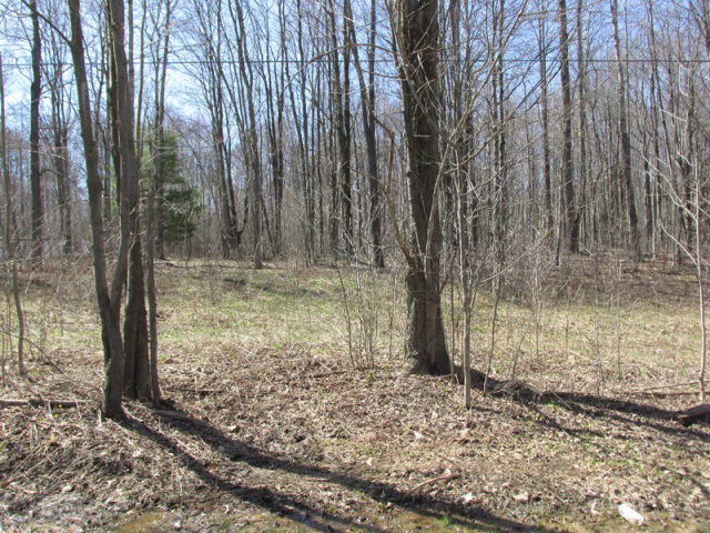 Fairview Road Spartansburg, PA 16434 - Photo 1 of 1