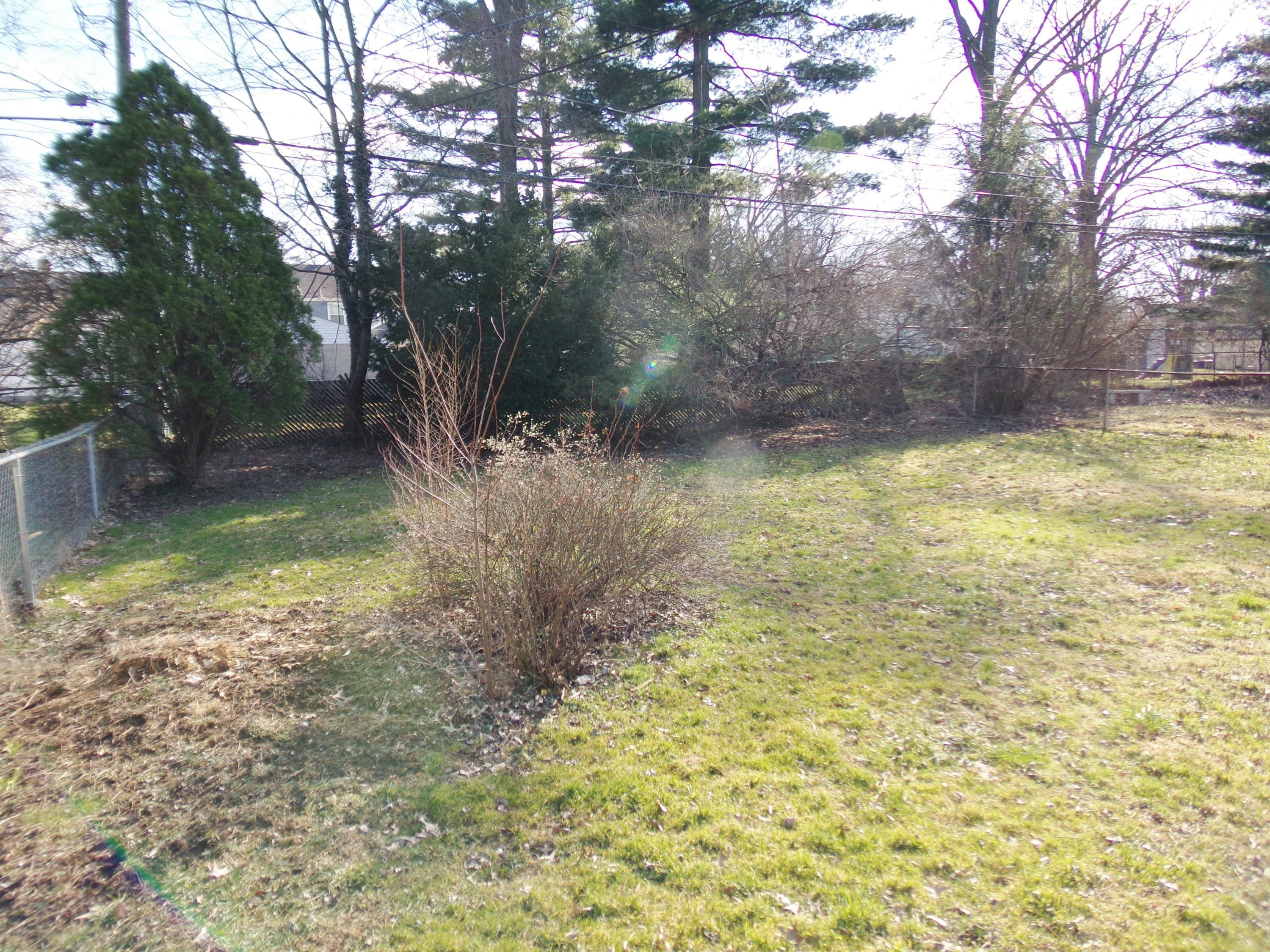 315 Wetmore Road Columbus, OH 43214 - Photo 7 of 32 Gallery Image 7