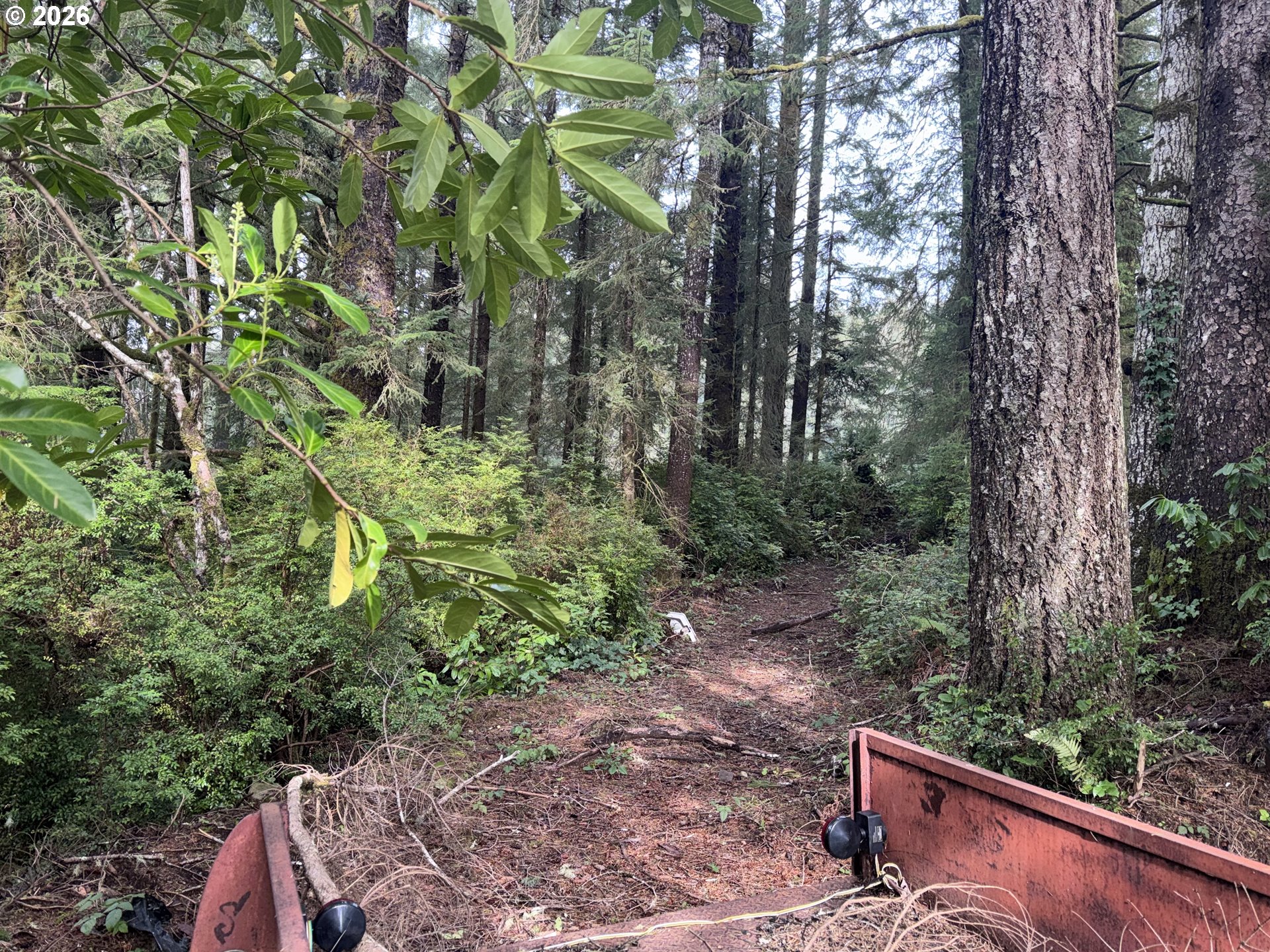 4923 Mitchell Loop Road Florence, OR 97439 - Photo 18 of 22 a view of backyard with green space
