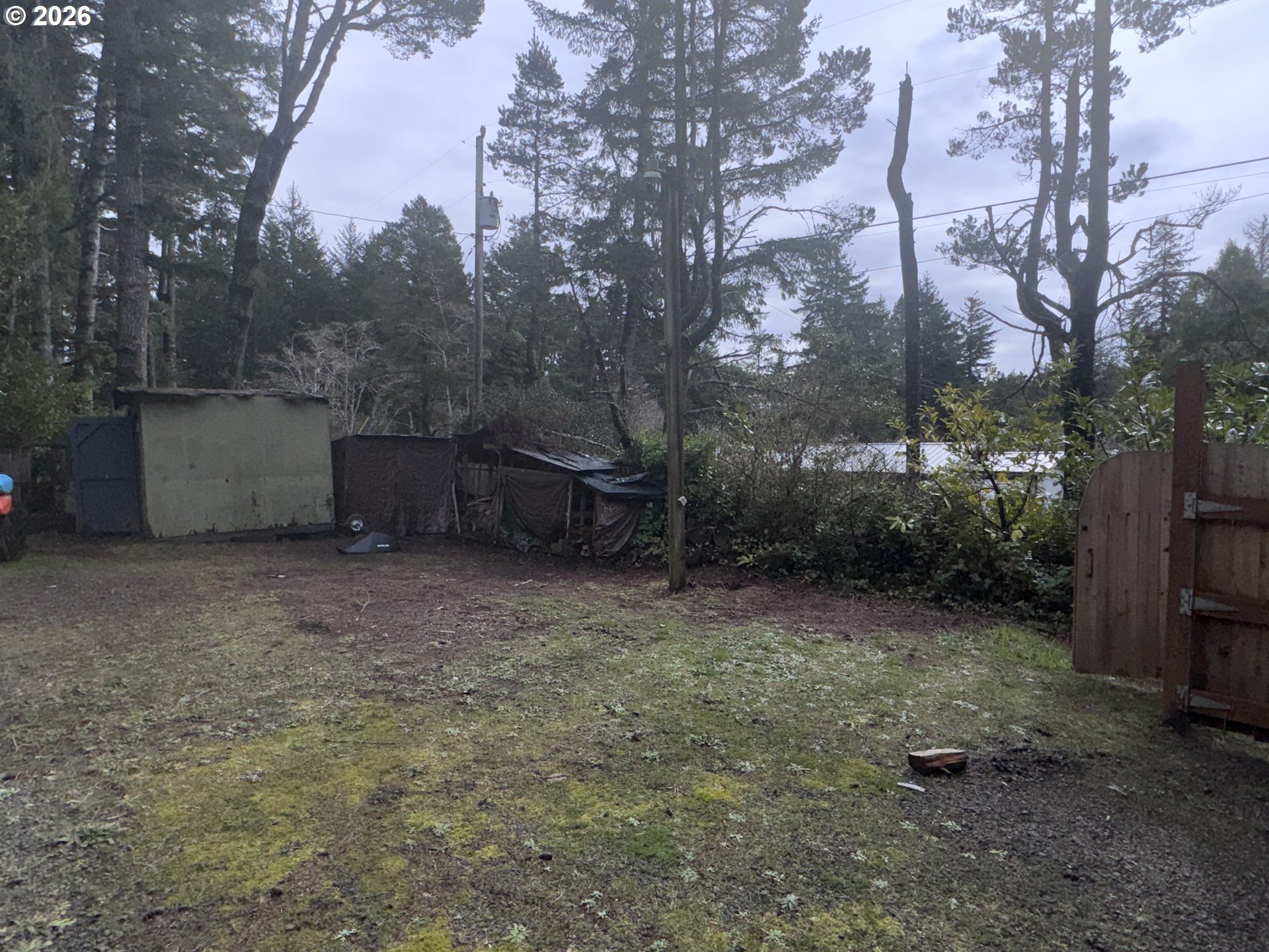 4923 Mitchell Loop Road Florence, OR 97439 - Photo 19 of 22 a view of a backyard with large trees