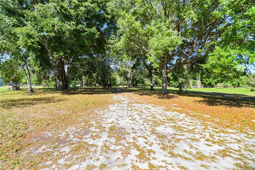 12500 Hamlin Road Spring Hill, FL 34610 - Photo 12 of 82 a view of outdoor space with deck and trees