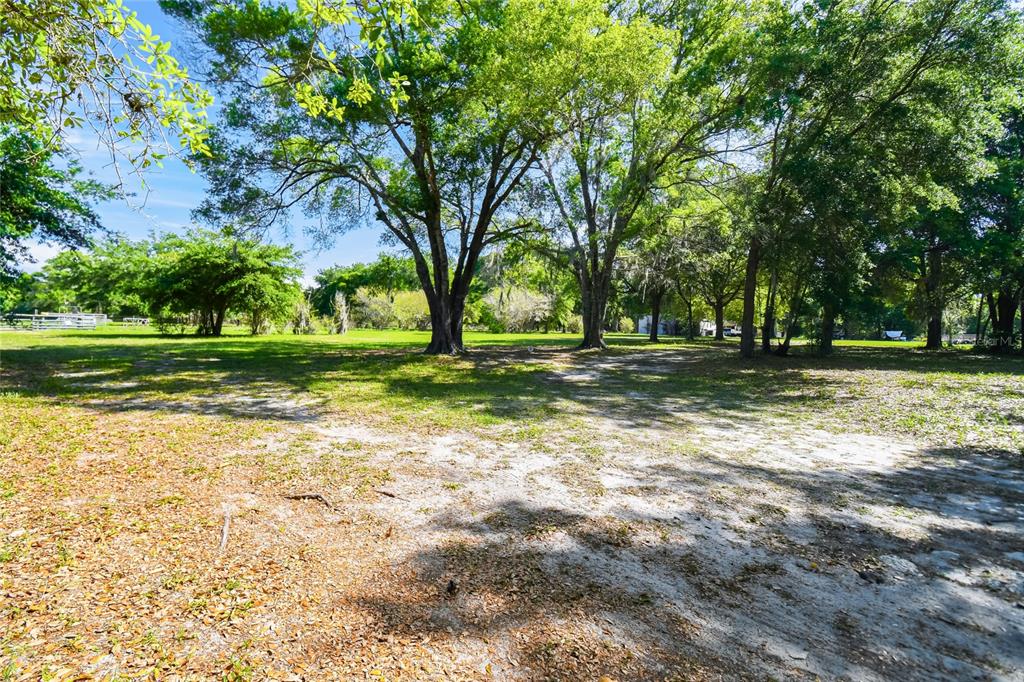 12500 Hamlin Road Spring Hill, FL 34610 - Photo 13 of 82 a view of a park with large trees