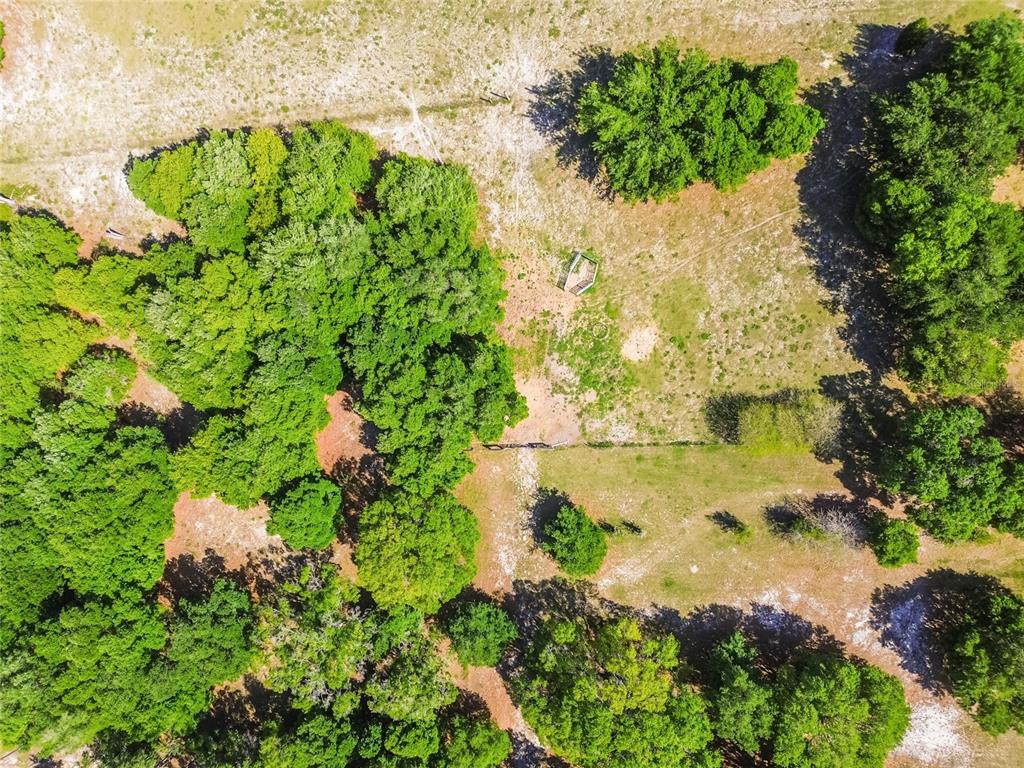 12500 Hamlin Road Spring Hill, FL 34610 - Photo 17 of 82