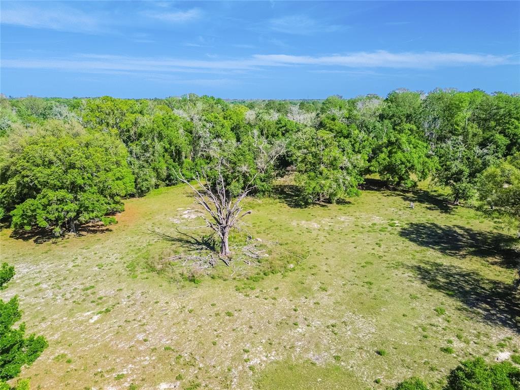 12500 Hamlin Road Spring Hill, FL 34610 - Photo 20 of 82