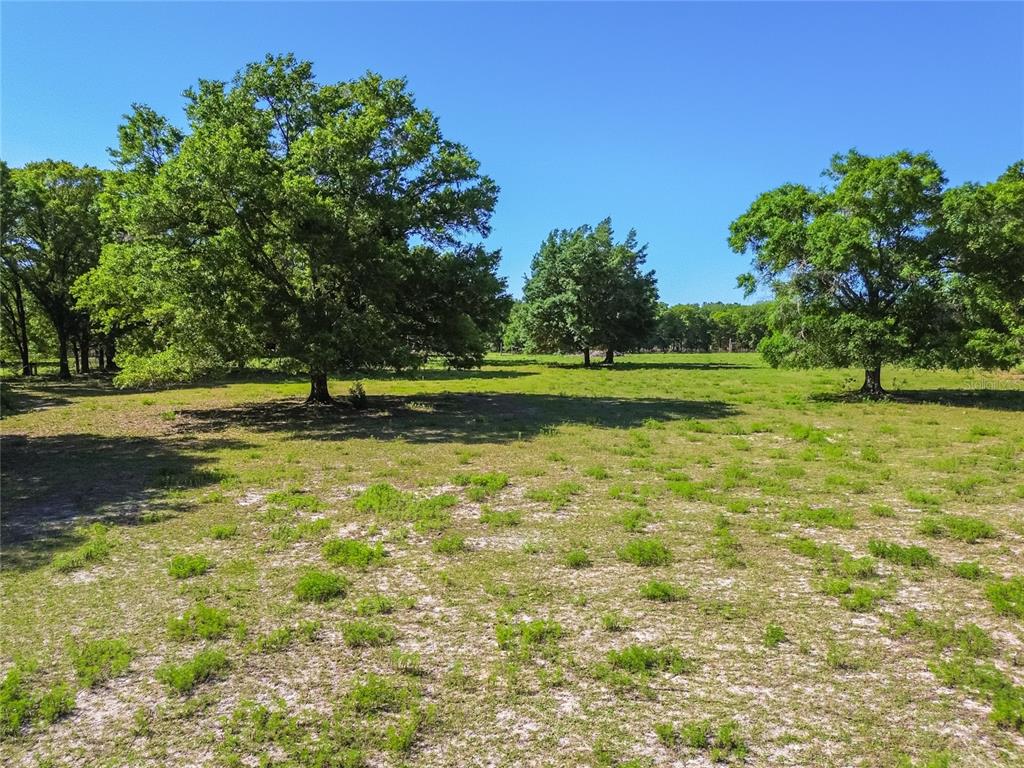 12500 Hamlin Road Spring Hill, FL 34610 - Photo 23 of 82 a view of a golf course with a lake