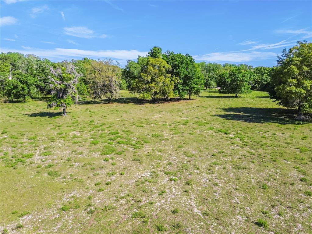 12500 Hamlin Road Spring Hill, FL 34610 - Photo 29 of 82 a view of a yard with a house in the background