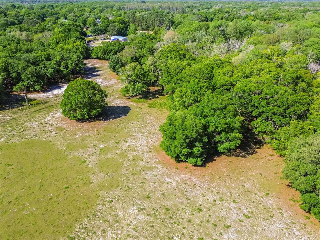 12500 Hamlin Road Spring Hill, FL 34610 - Photo 34 of 82