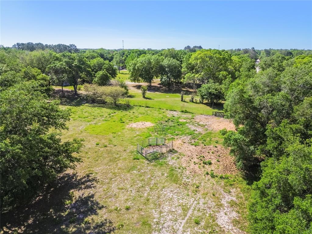 12500 Hamlin Road Spring Hill, FL 34610 - Photo 36 of 82 a view of a garden with trees in the background