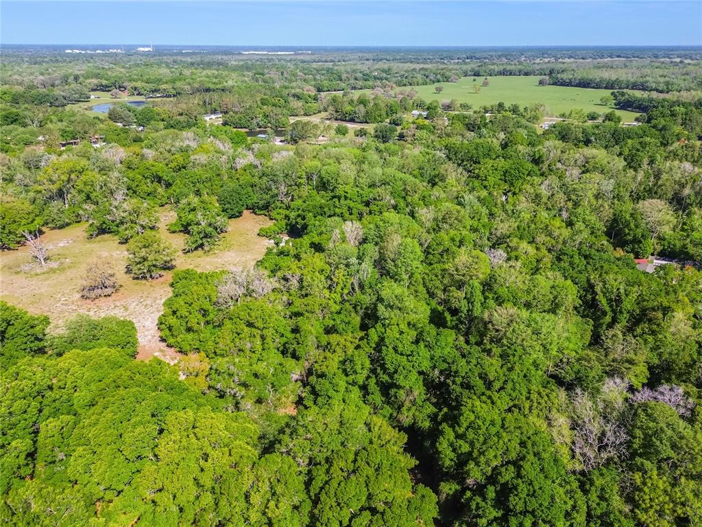 12500 Hamlin Road Spring Hill, FL 34610 - Photo 42 of 82 a view of a green field with lots of bushes