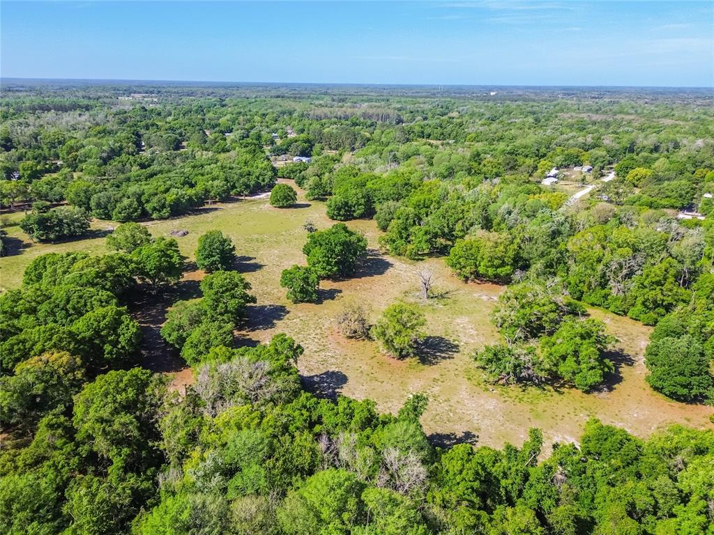 12500 Hamlin Road Spring Hill, FL 34610 - Photo 44 of 82 an aerial view of residential houses with outdoor space and trees all around