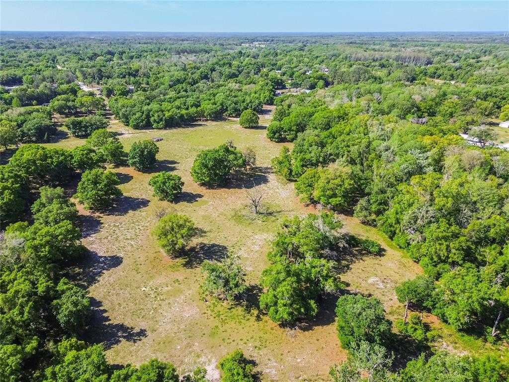 12500 Hamlin Road Spring Hill, FL 34610 - Photo 45 of 82