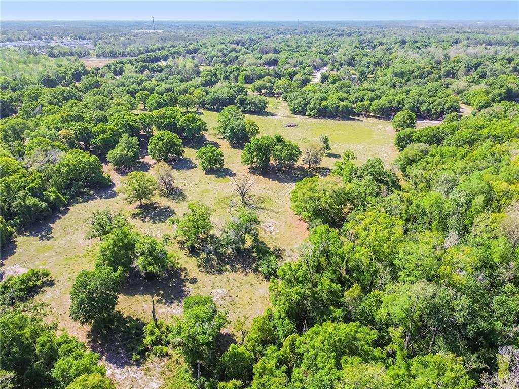 12500 Hamlin Road Spring Hill, FL 34610 - Photo 46 of 82 an aerial view of a houses with a yard and lake view