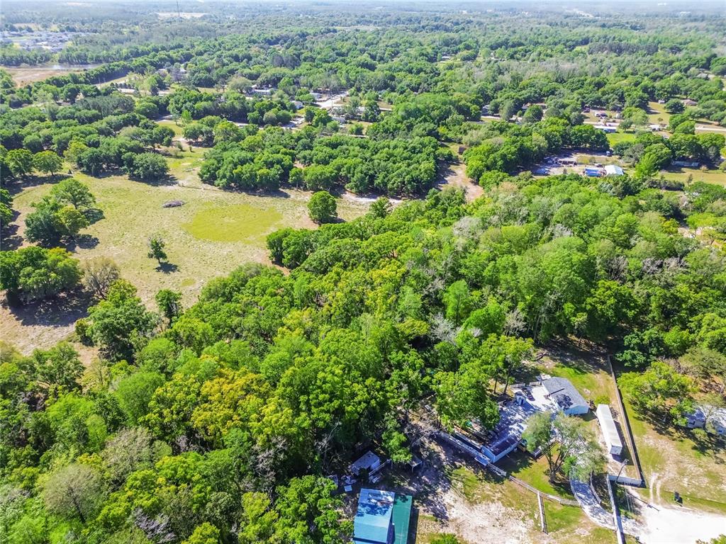 12500 Hamlin Road Spring Hill, FL 34610 - Photo 48 of 82 an aerial view of residential houses with outdoor space and trees