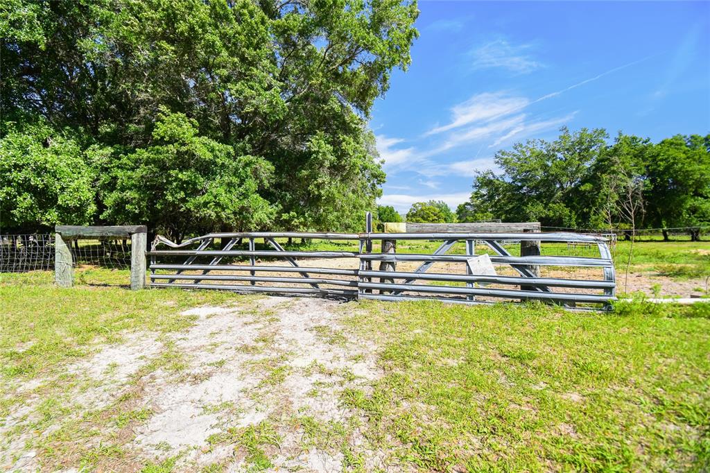 12500 Hamlin Road Spring Hill, FL 34610 - Photo 5 of 82 a view of a swimming pool with an outdoor seating and a yard