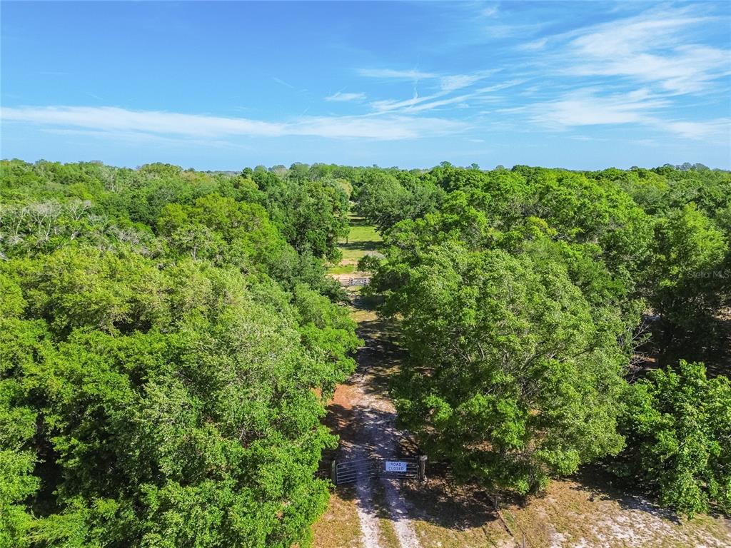 12500 Hamlin Road Spring Hill, FL 34610 - Photo 54 of 82