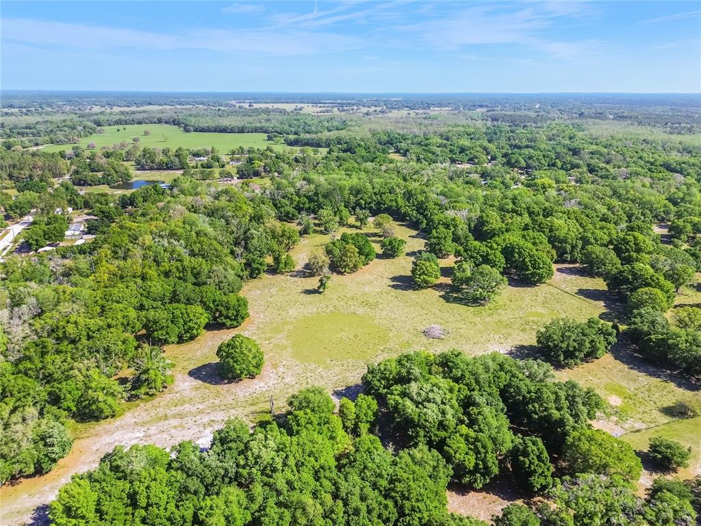 12500 Hamlin Road Spring Hill, FL 34610 - Photo 56 of 82