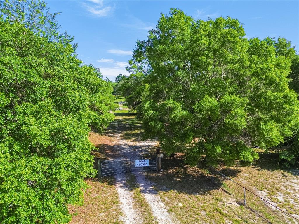 12500 Hamlin Road Spring Hill, FL 34610 - Photo 68 of 82 a backyard of a house with lots of green space
