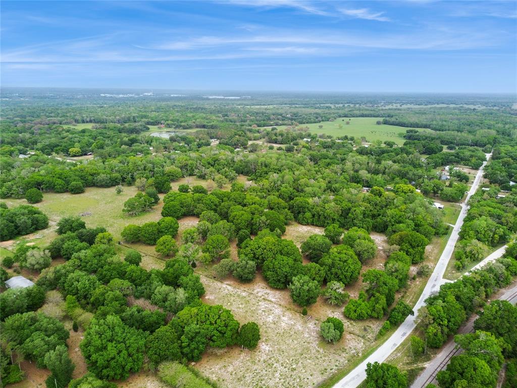 12500 Hamlin Road Spring Hill, FL 34610 - Photo 71 of 82 a view of a green field with lots of bushes