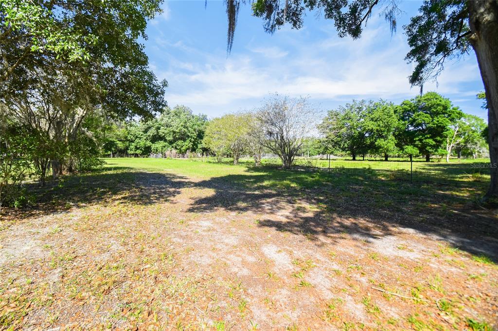 12500 Hamlin Road Spring Hill, FL 34610 - Photo 9 of 82 a view of a yard with plants and large trees