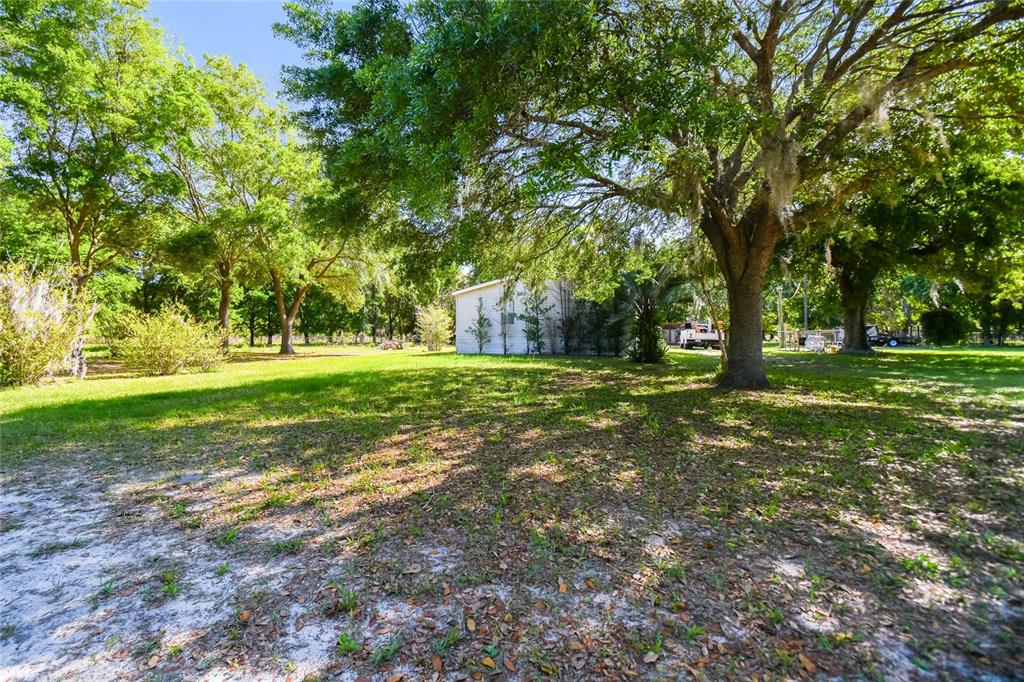 12500 Hamlin Road Spring Hill, FL 34610 - Photo 10 of 82 a view of a trees in a park