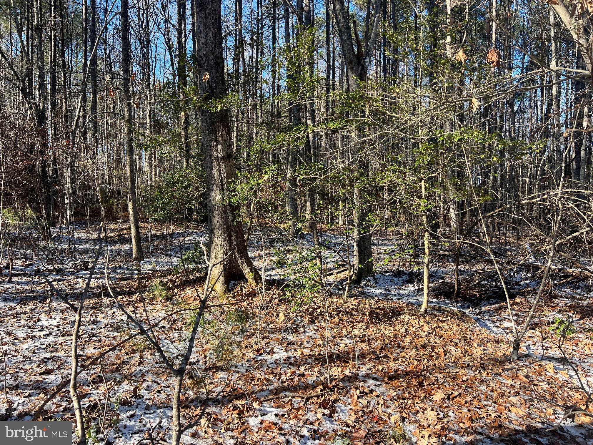 Roderick Place Mineral, VA 23117 - Photo 3 of 18 Gallery Image 3
