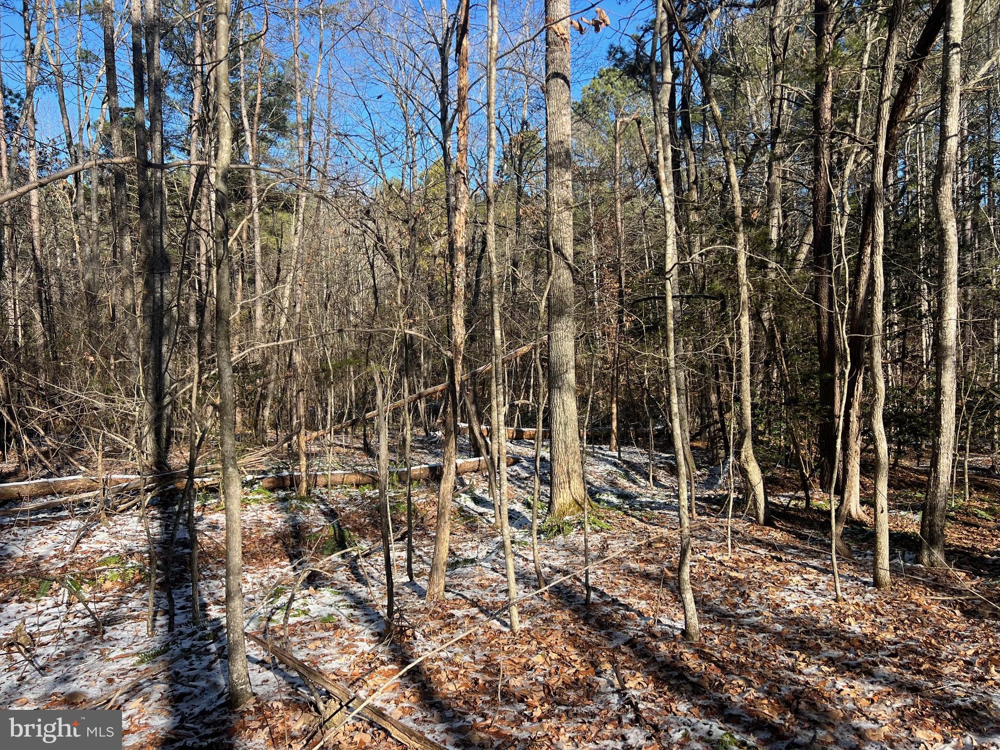 Roderick Place Mineral, VA 23117 - Photo 4 of 18 Gallery Image 4