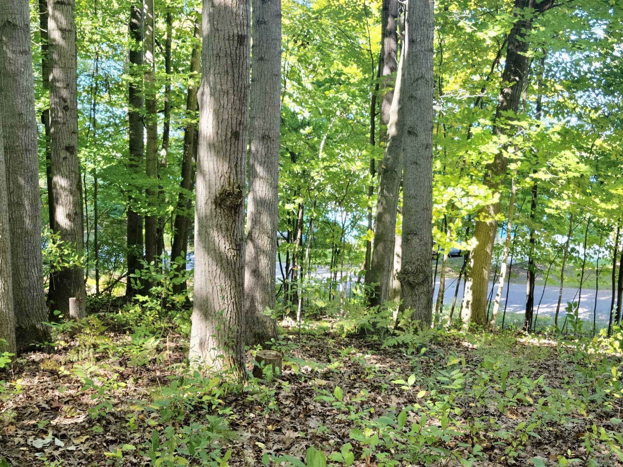 4221 East Town Line Road Fountain, MI 49410 - Photo 11 of 38 Great location !