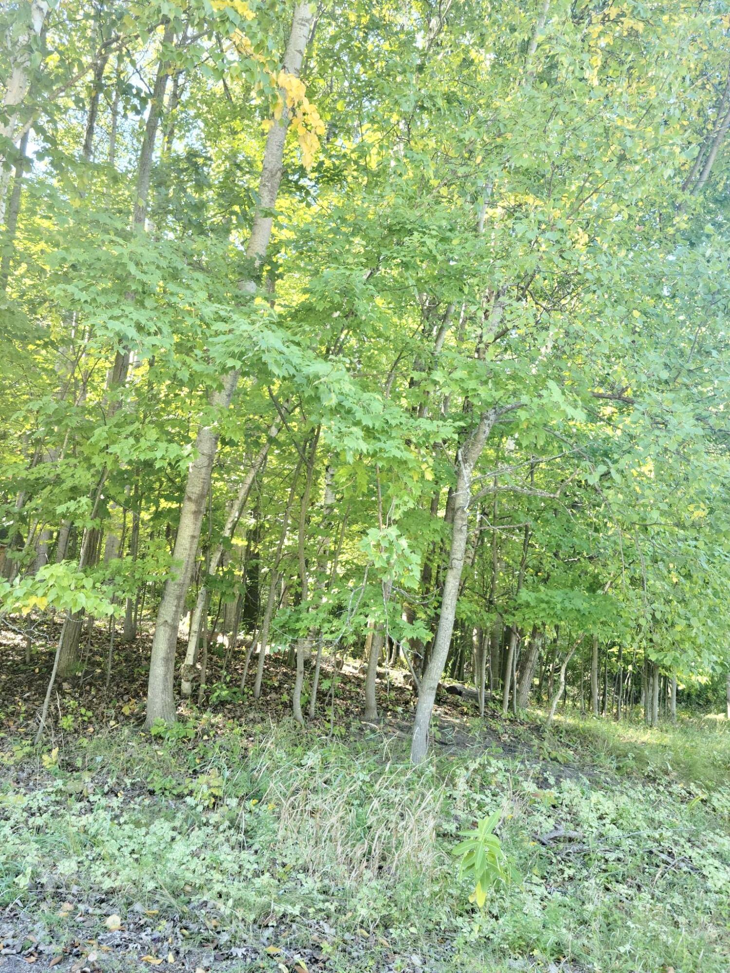 4221 East Town Line Road Fountain, MI 49410 - Photo 20 of 38 Corner Lot!