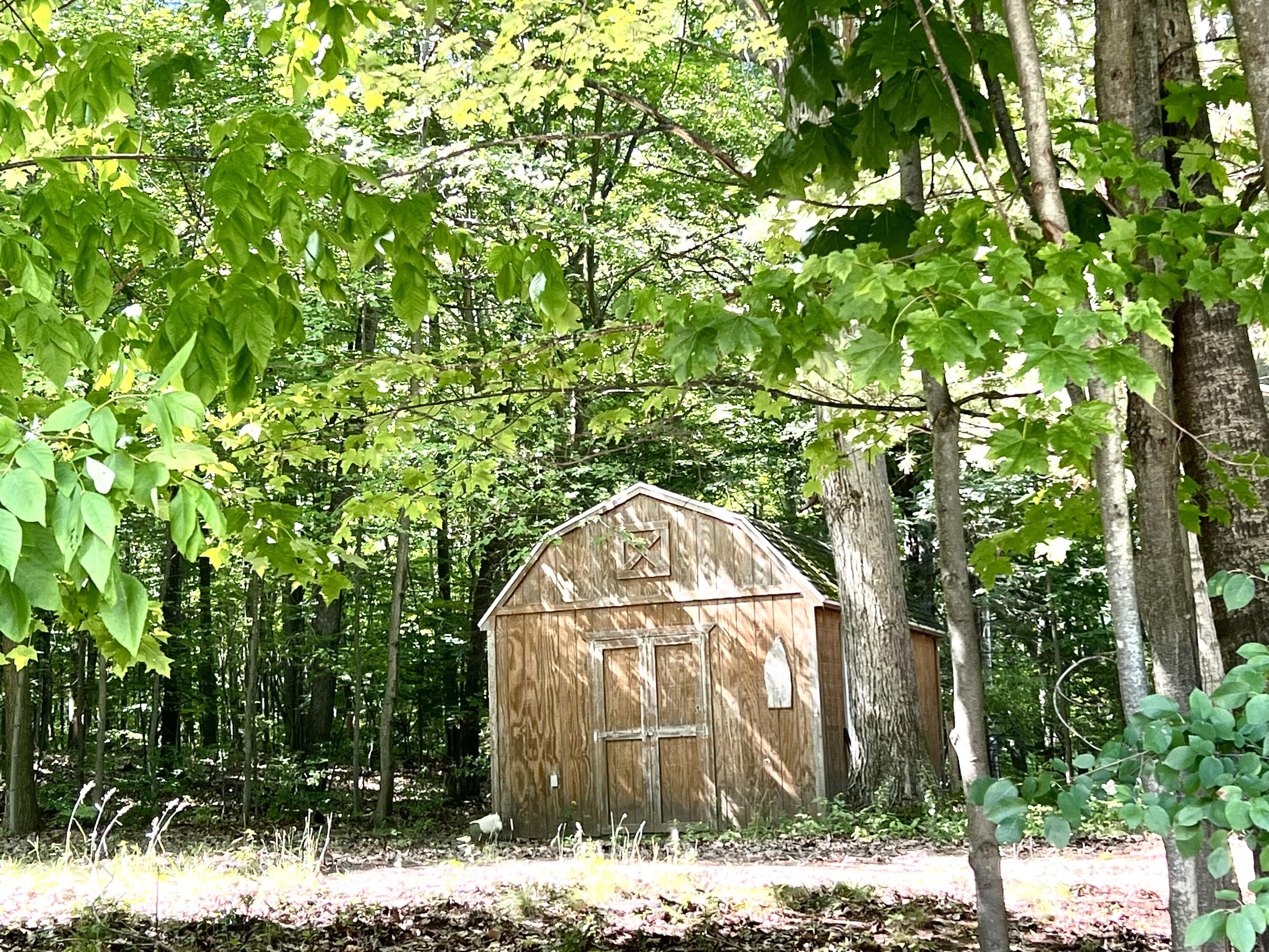 4221 East Town Line Road Fountain, MI 49410 - Photo 7 of 38 Shed included
