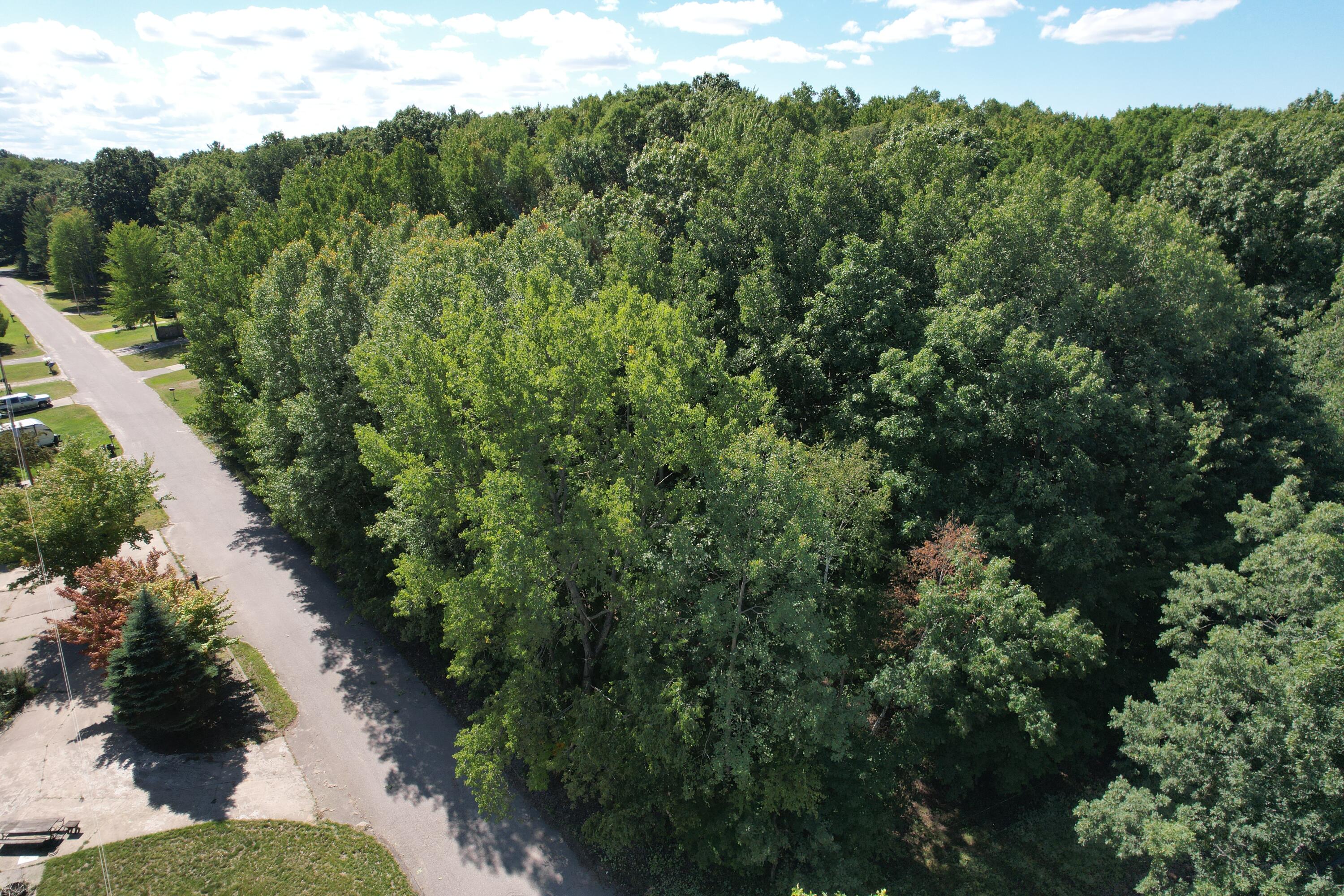 4221 East Town Line Road Fountain, MI 49410 - Photo 10 of 38 Lot on Gun Lake
