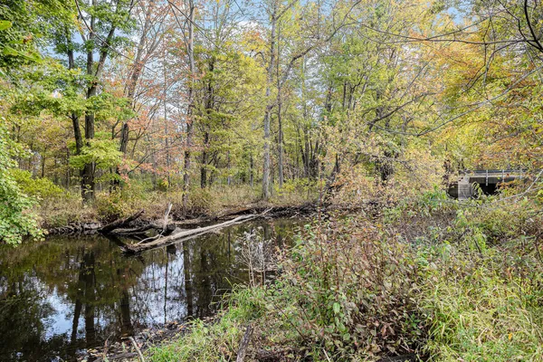 $250,000 | 1056 Brookwood Drive, Quincy, MI 49082