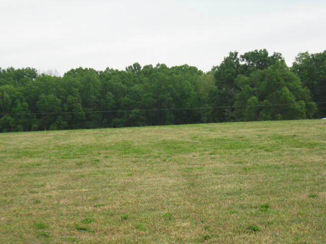 970 Leadmine Road White Pine, TN 37890 - Photo 5 of 25 029
