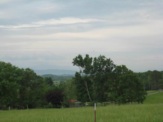 970 Leadmine Road White Pine, TN 37890 - Photo 6 of 25 030