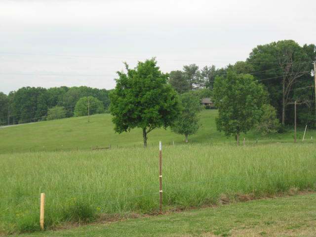 970 Leadmine Road White Pine, TN 37890 - Photo 7 of 25 031