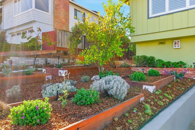 a view of a garden with plants and a bench
