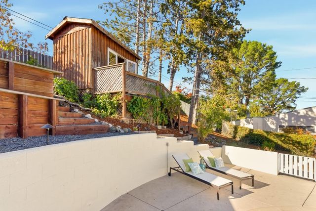 a view of backyard with a large tree